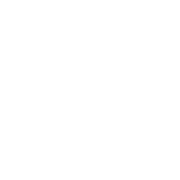 fingerprint