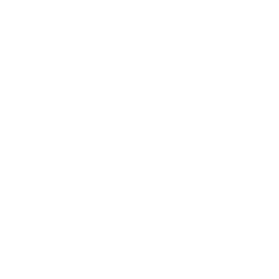 lightbulb